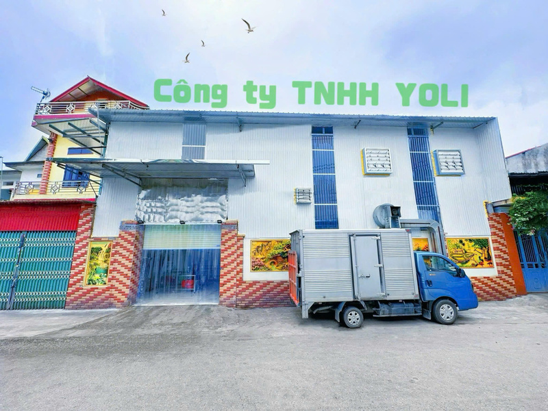 Hình ảnh công ty Yoli